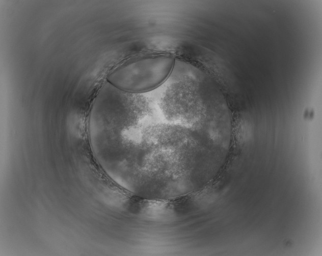 X0000110880709200907161502