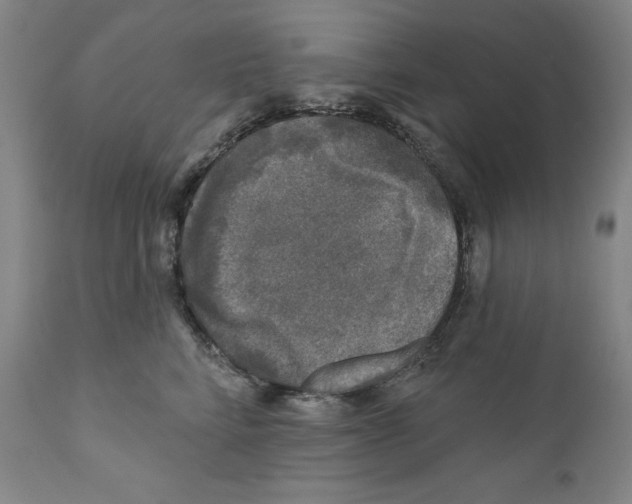 X0000110880712200907161502