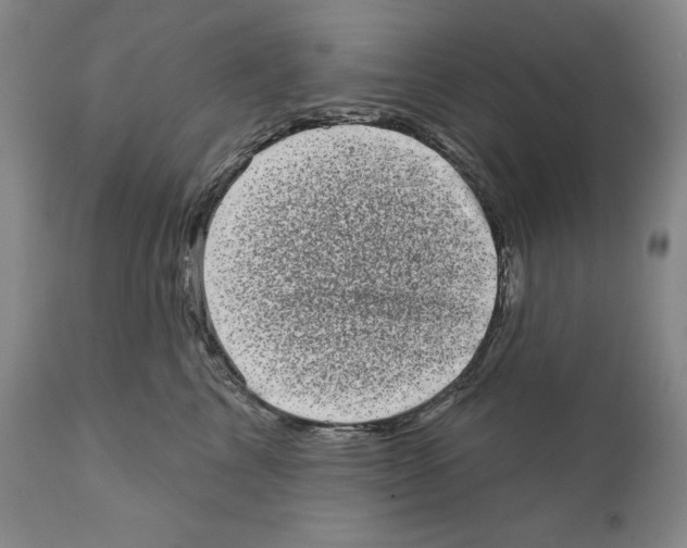 X0000110880713200907161502