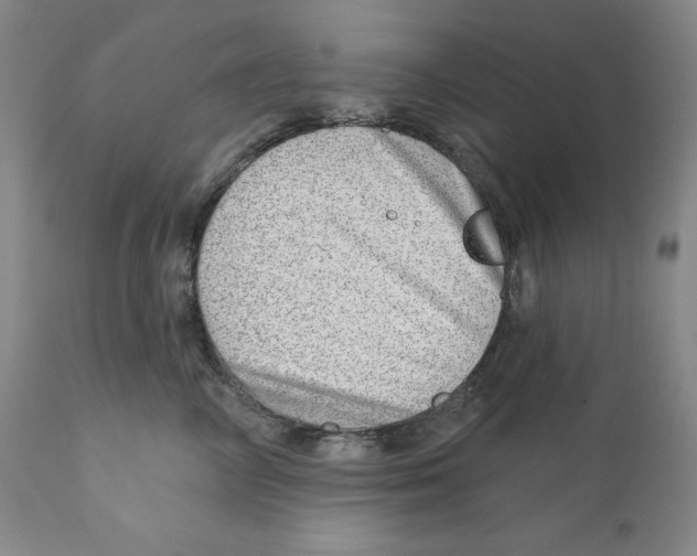 X0000110880714200907161502