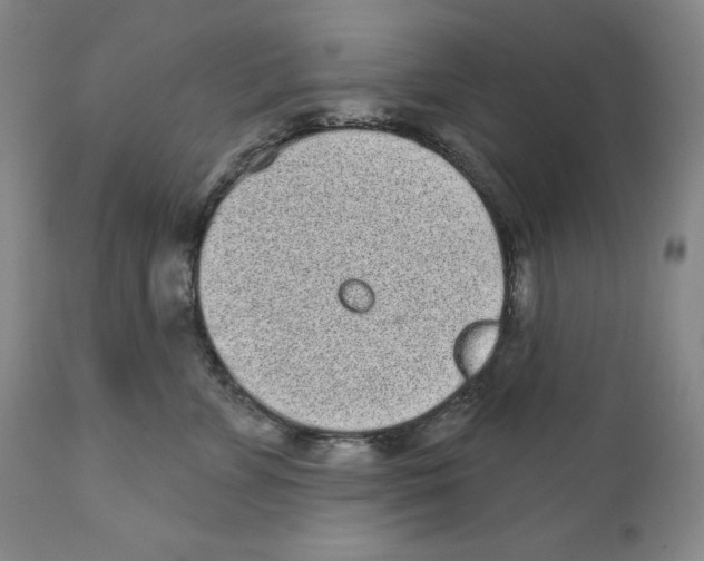 X0000110880715200907161502