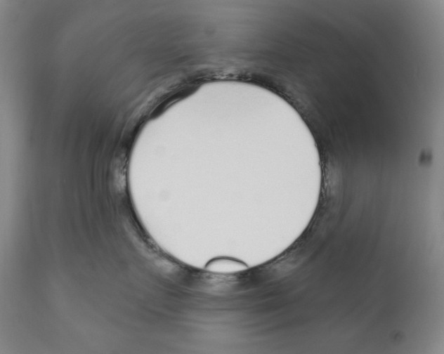 X0000110880719200907161502