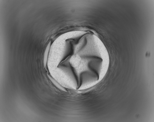 X0000110880720200907161502