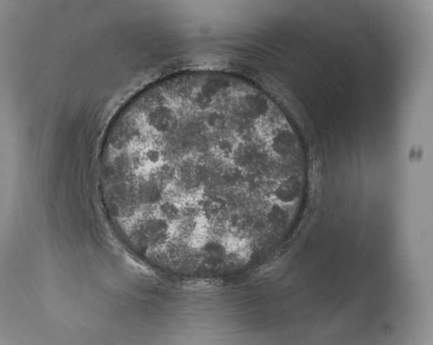 X0000110880721200907161501