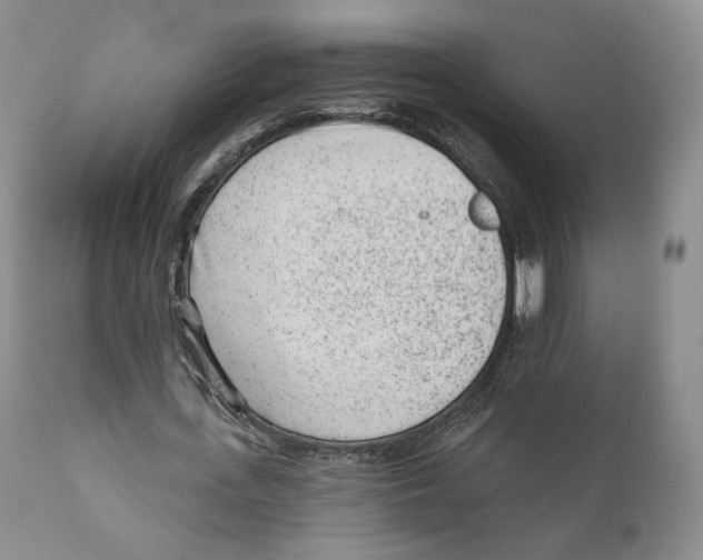 X0000110880723200907161501