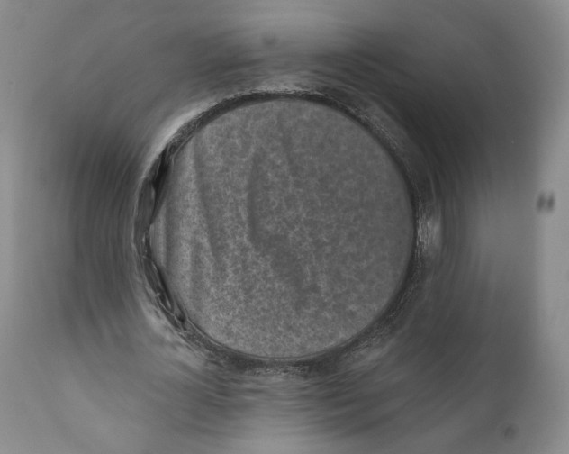 X0000110880724200907161501