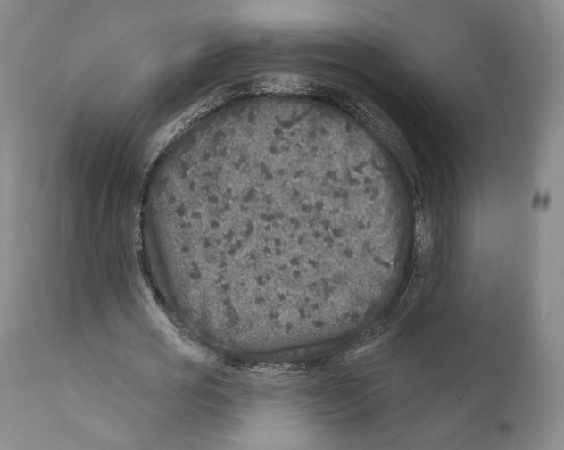 X0000110880725200907161501