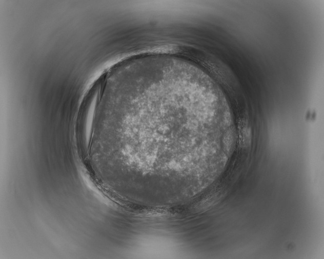 X0000110880726200907161501