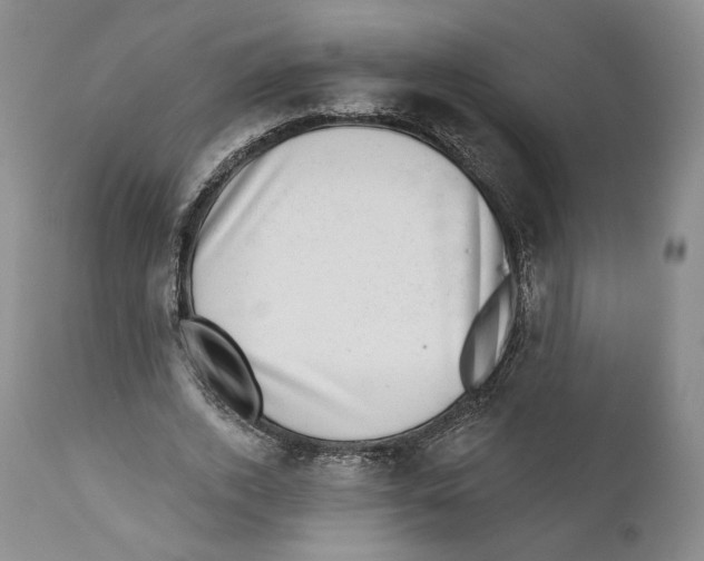 X0000110880728200907161501