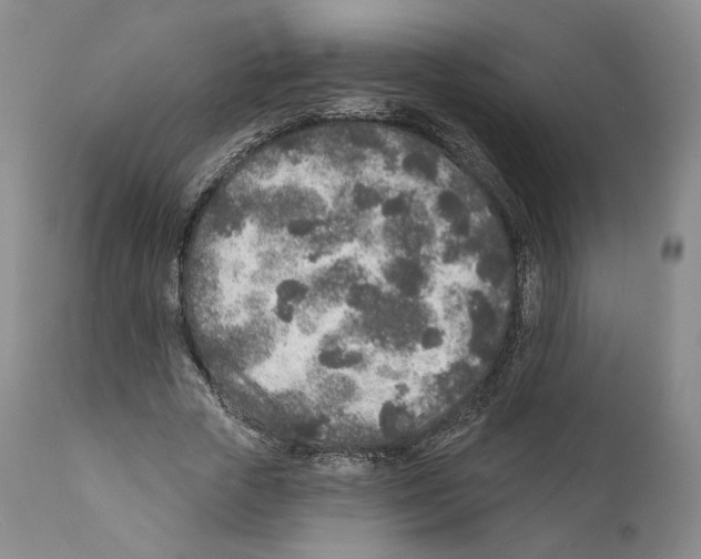 X0000110880729200907161501