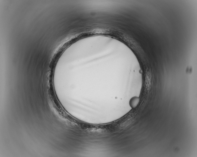 X0000110880730200907161501