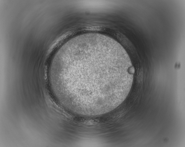 X0000110880731200907161501