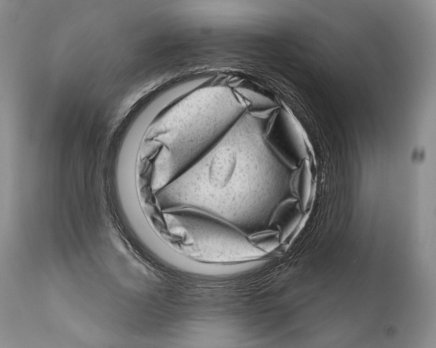 X0000110880732200907161501