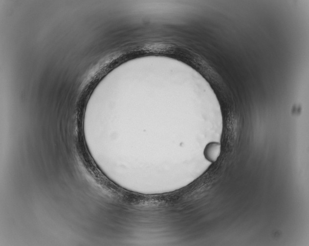 X0000110880734200907161501