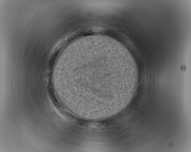 X0000110880736200907161501