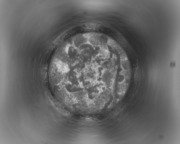 X0000110880737200907161501