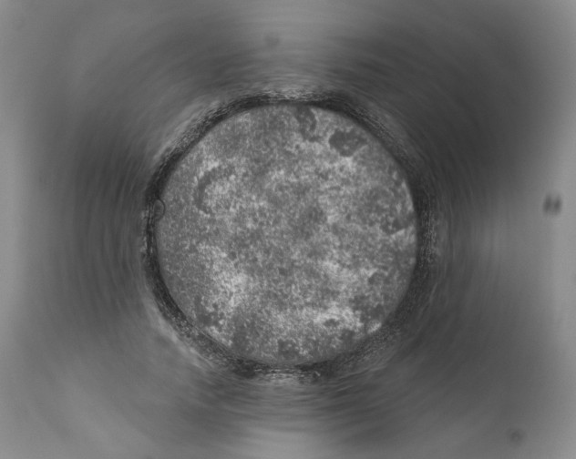 X0000110880738200907161501