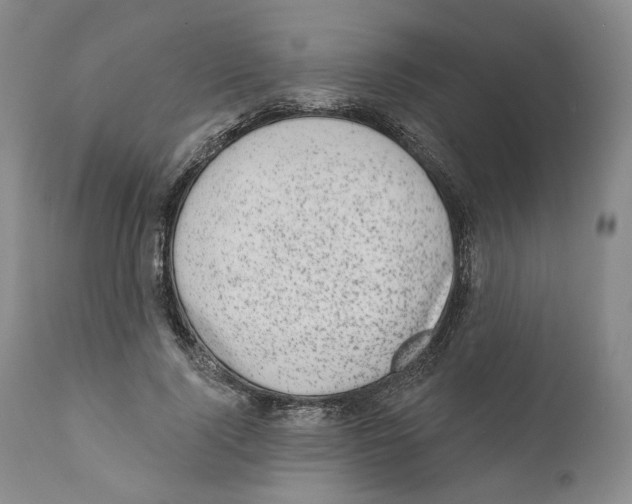 X0000110880740200907161501