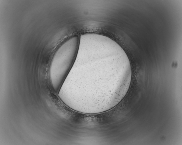 X0000110880744200907161501