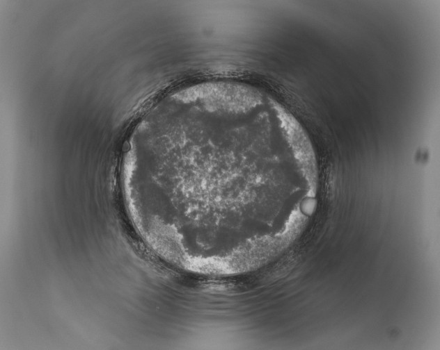 X0000110880746200907161501