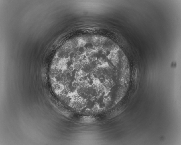 X0000110880749200907161501