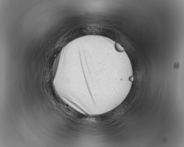 X0000110880751200907161501