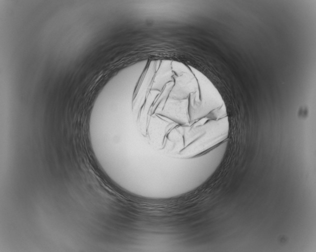 X0000110880752200907161501