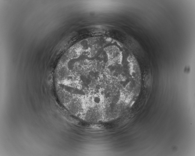 X0000110880753200907161501