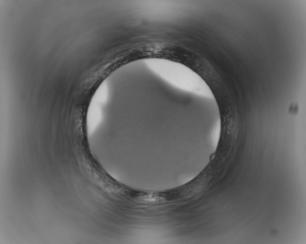 X0000110880754200907161501