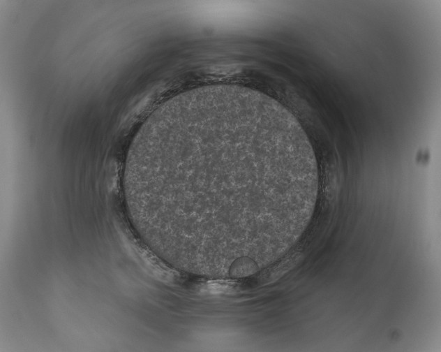 X0000110880758200907161501