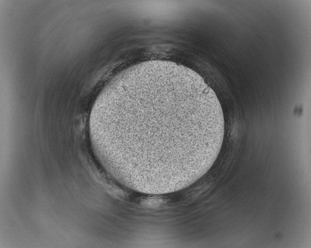 X0000110880759200907161501