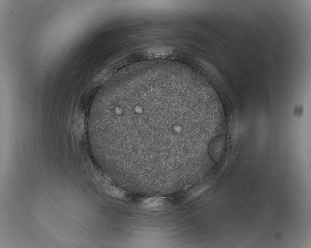 X0000110880761200907161501