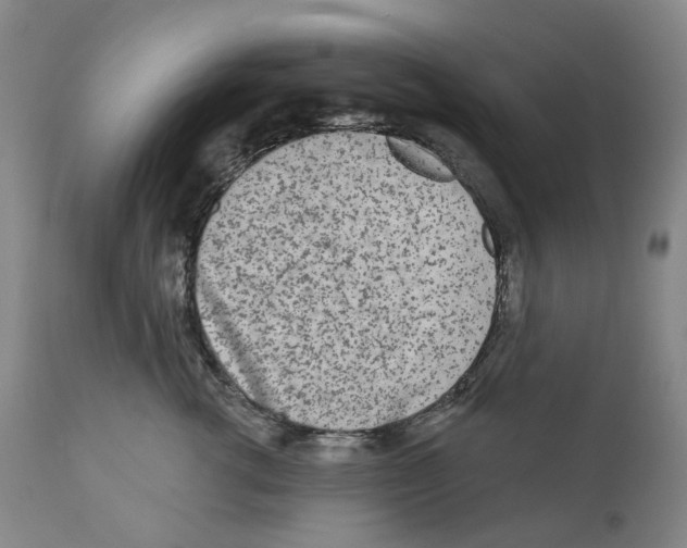 X0000110880762200907161501