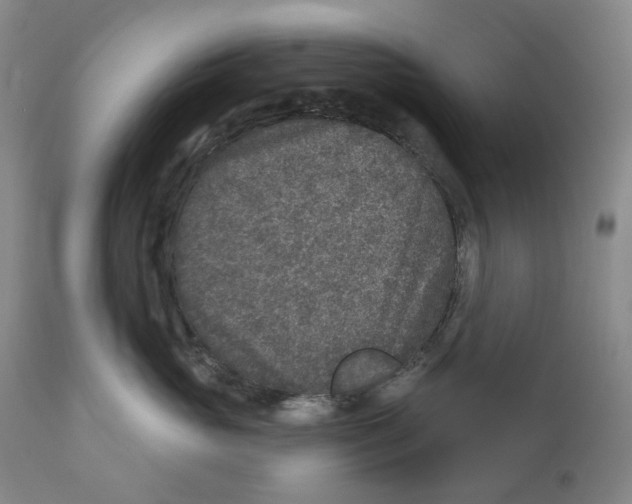 X0000110880765200907161501