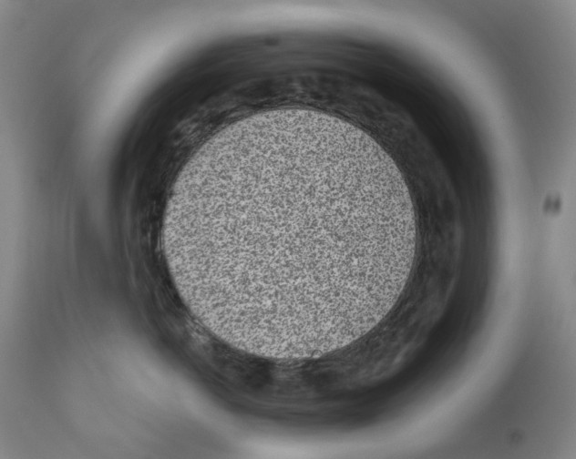 X0000110880766200907161501