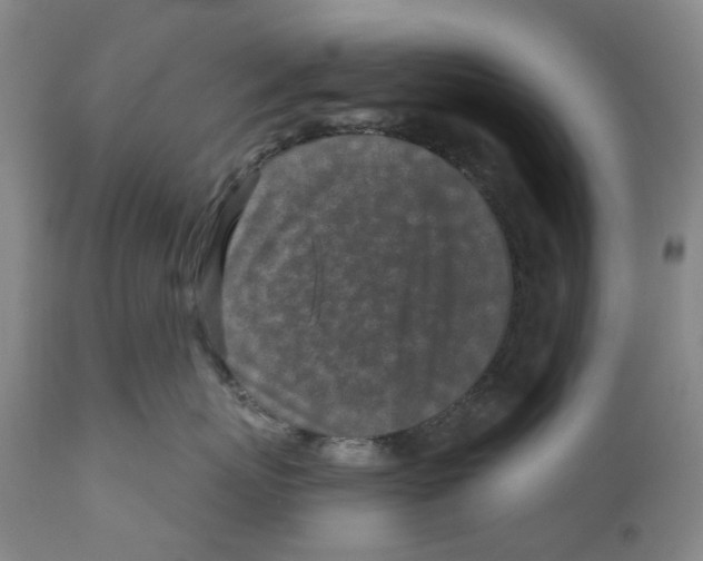 X0000110880767200907161502