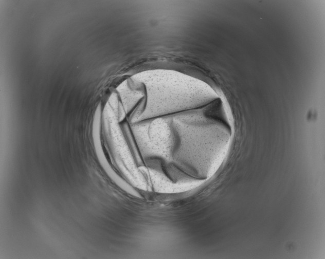 X0000110880768200907161502