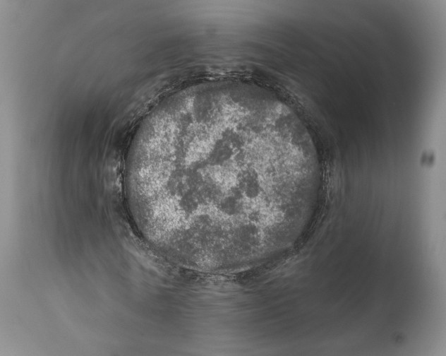 X0000110880770200907161501