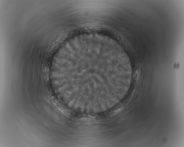 X0000110880772200907161501