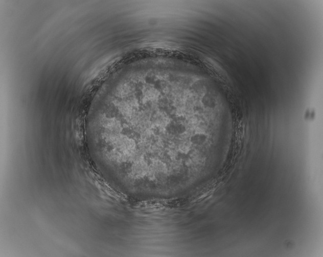 X0000110880774200907161501