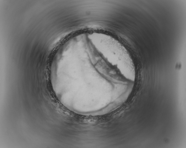 X0000110880776200907161501