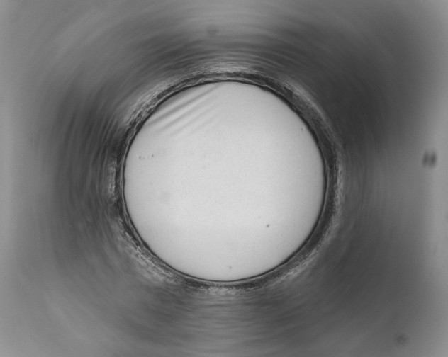 X0000110880777200907161501