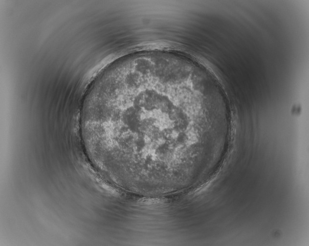 X0000110880778200907161500