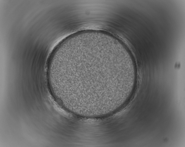 X0000110880779200907161500