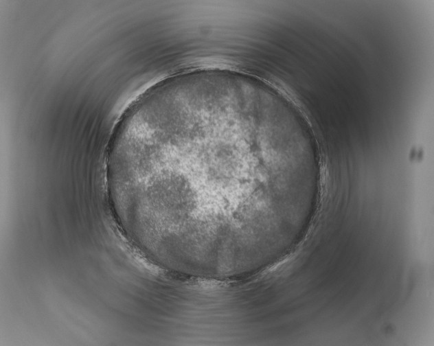 X0000110880782200907161500