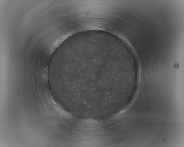 X0000110880785200907161500