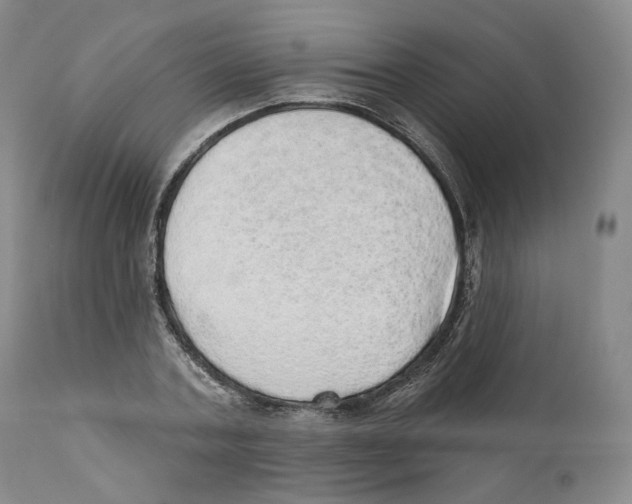 X0000110880787200907161500