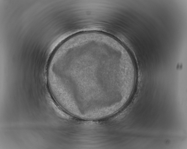 X0000110880789200907161500