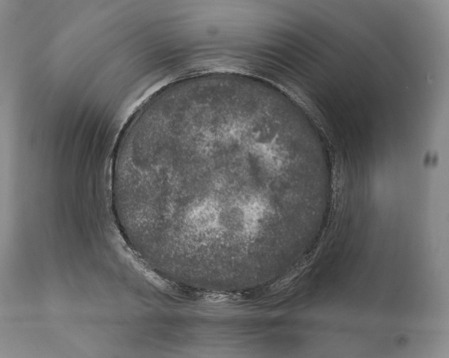 X0000110880790200907161500