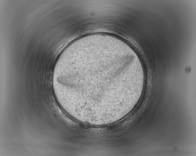 X0000110880793200907161500